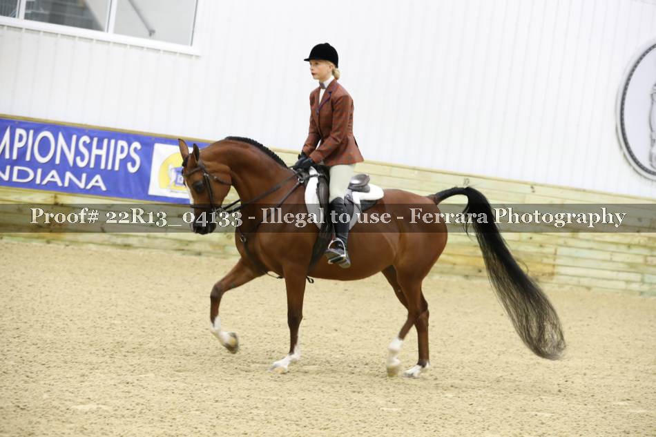 Proof 22R13_04133