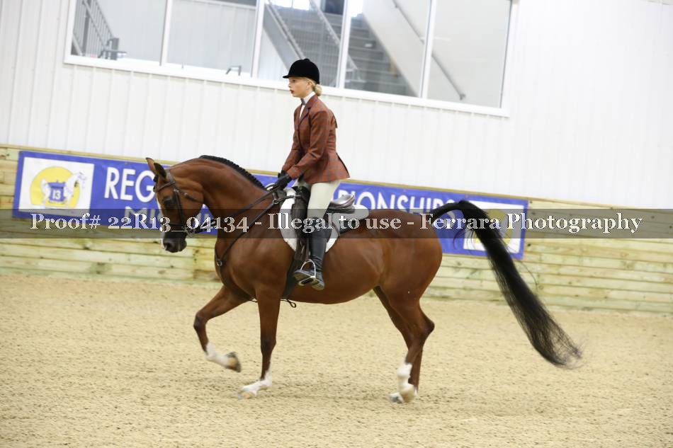Proof 22R13_04134