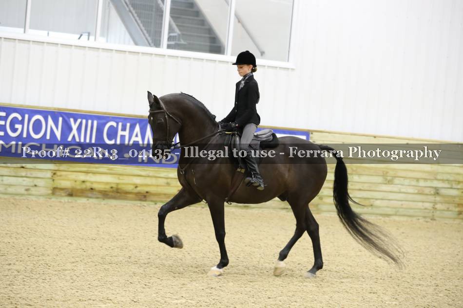 Proof 22R13_04135