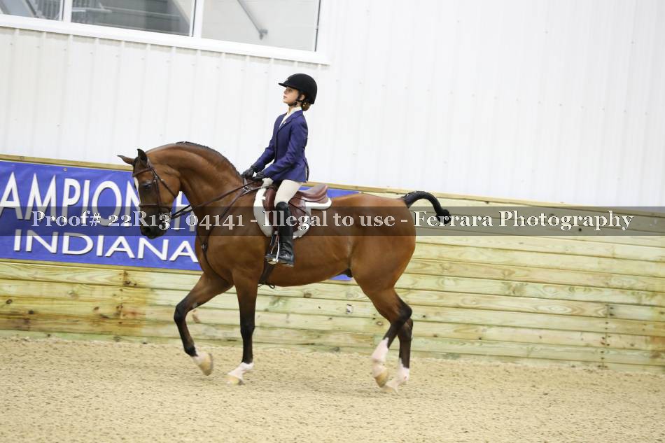 Proof 22R13_04141