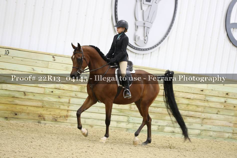 Proof 22R13_04145