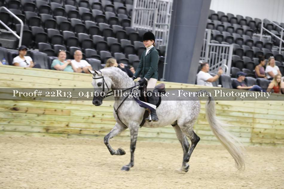 Proof 22R13_04160