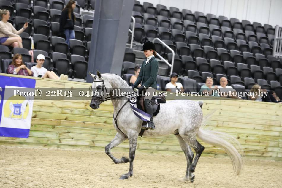 Proof 22R13_04161