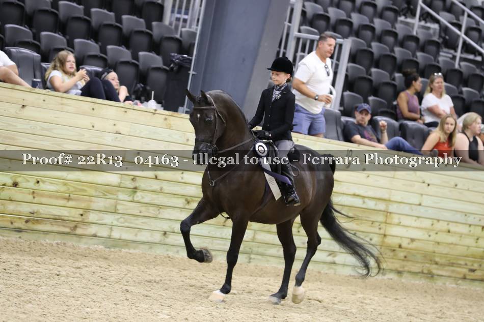 Proof 22R13_04163