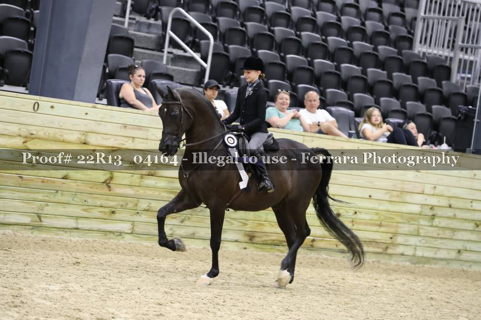 Proof 22R13_04164