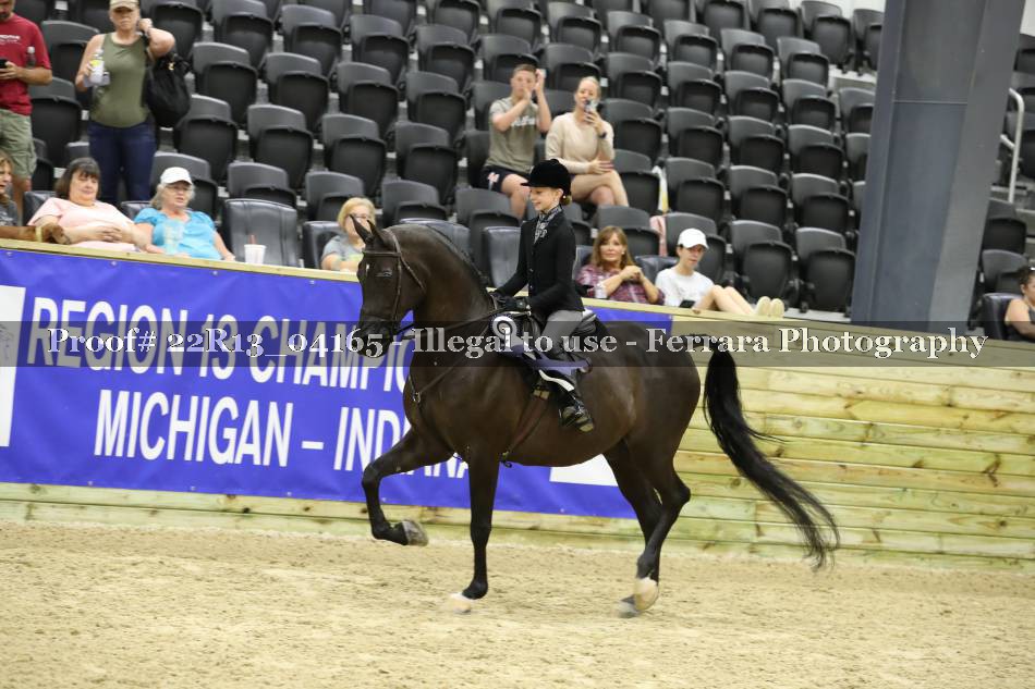 Proof 22R13_04165