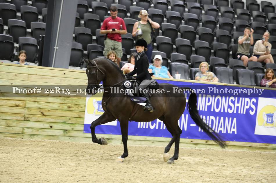 Proof 22R13_04166