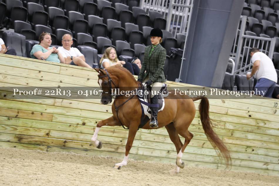 Proof 22R13_04167