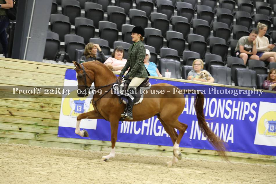 Proof 22R13_04169