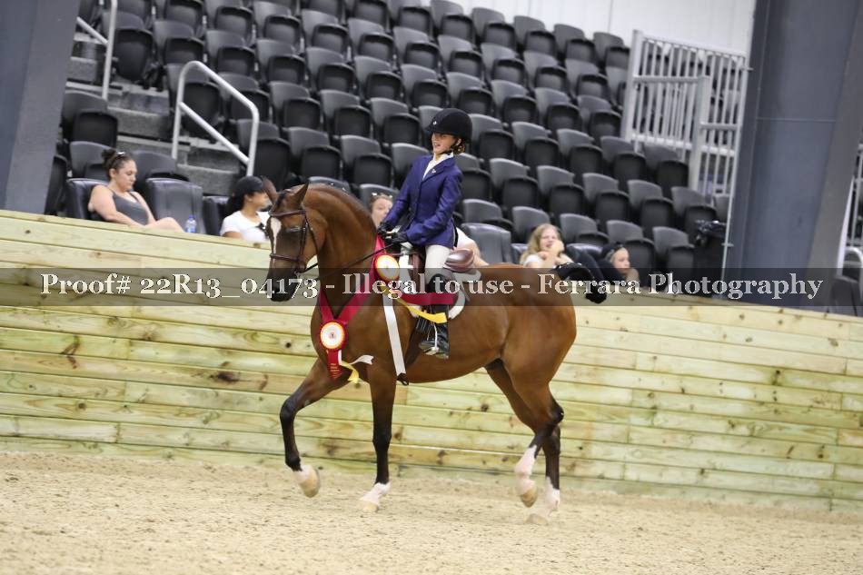 Proof 22R13_04173
