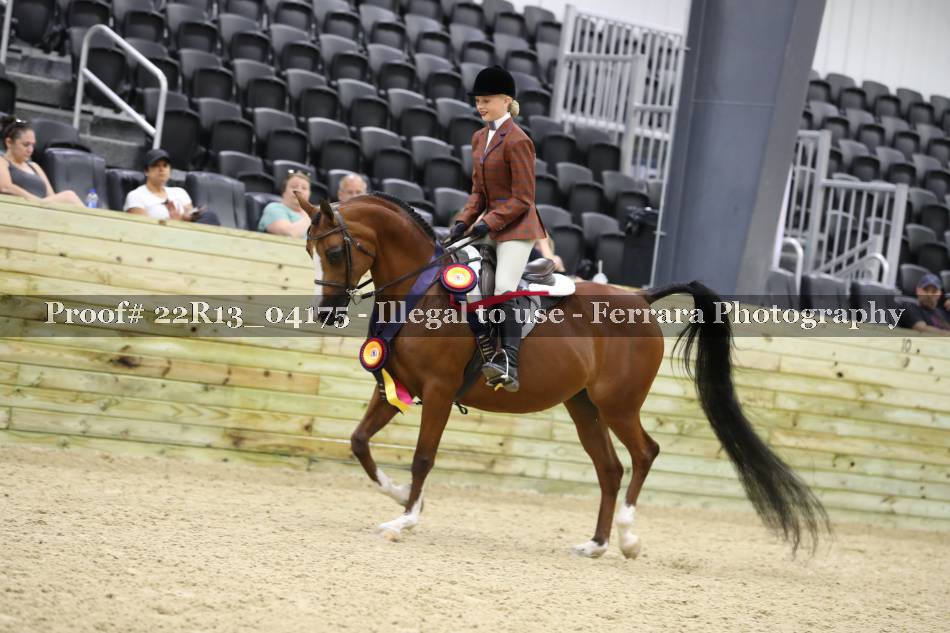 Proof 22R13_04175