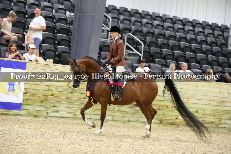 Proof 22R13_04176