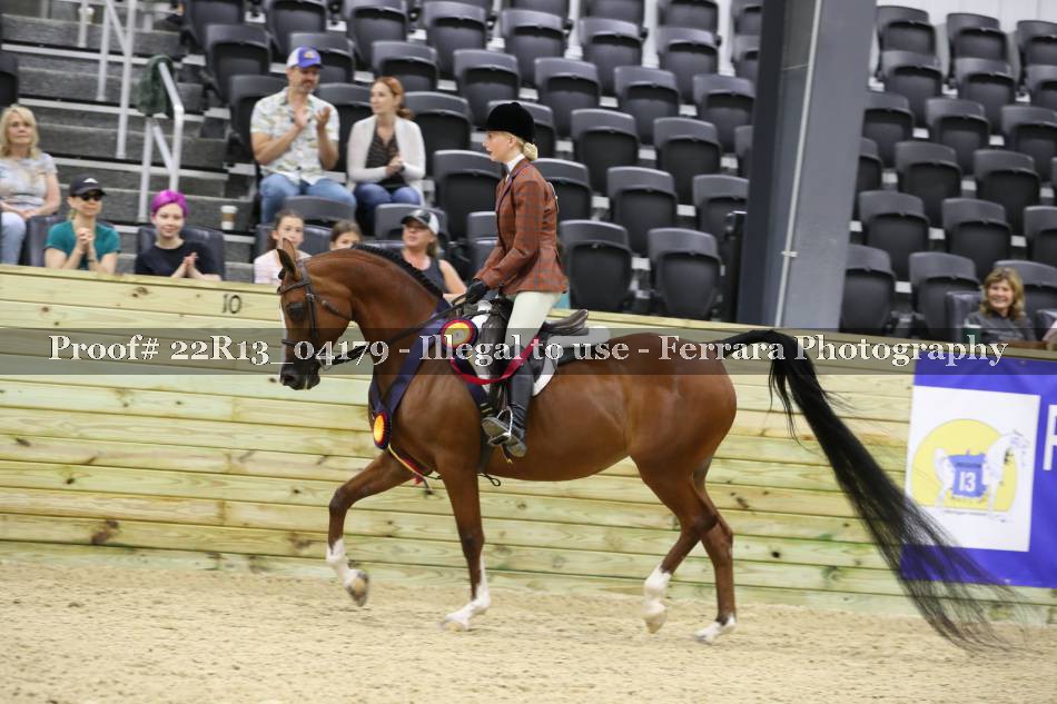 Proof 22R13_04179