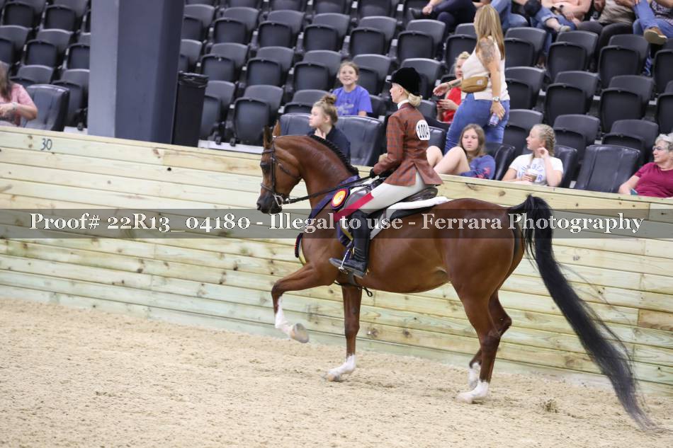 Proof 22R13_04180