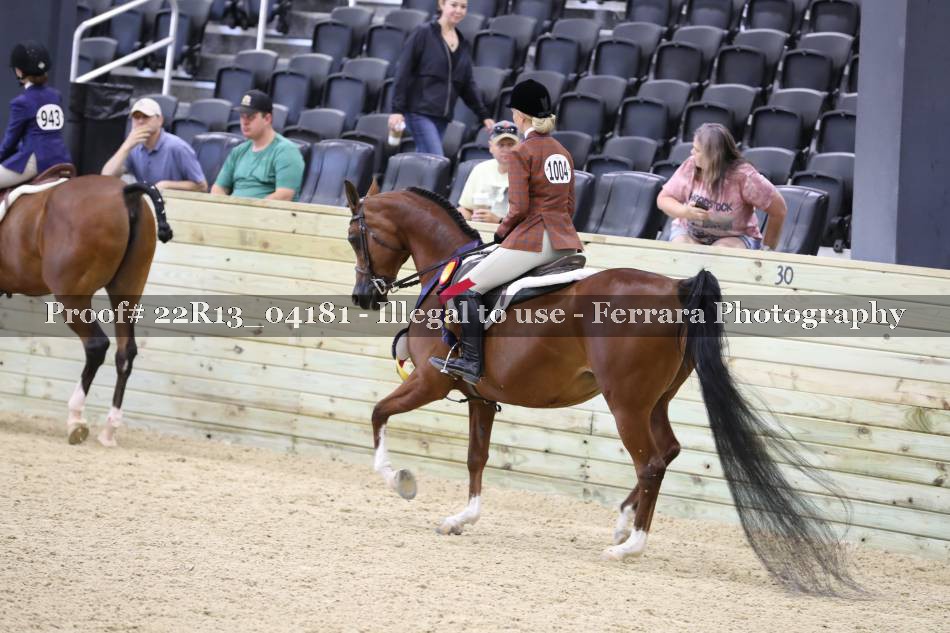Proof 22R13_04181