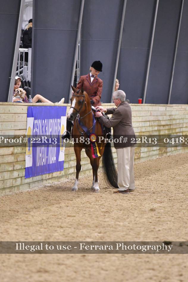 Proof 22R13_04183