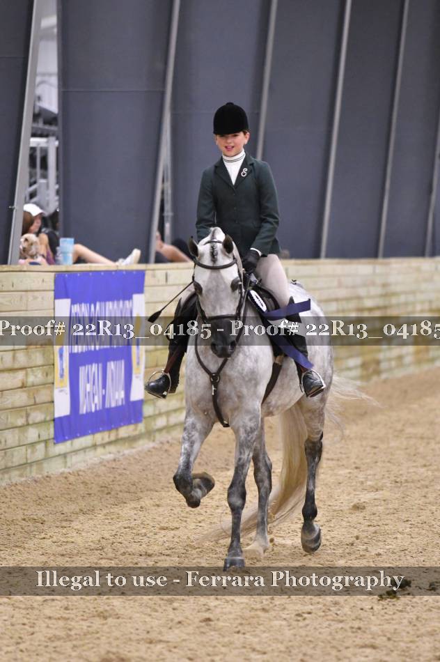 Proof 22R13_04185