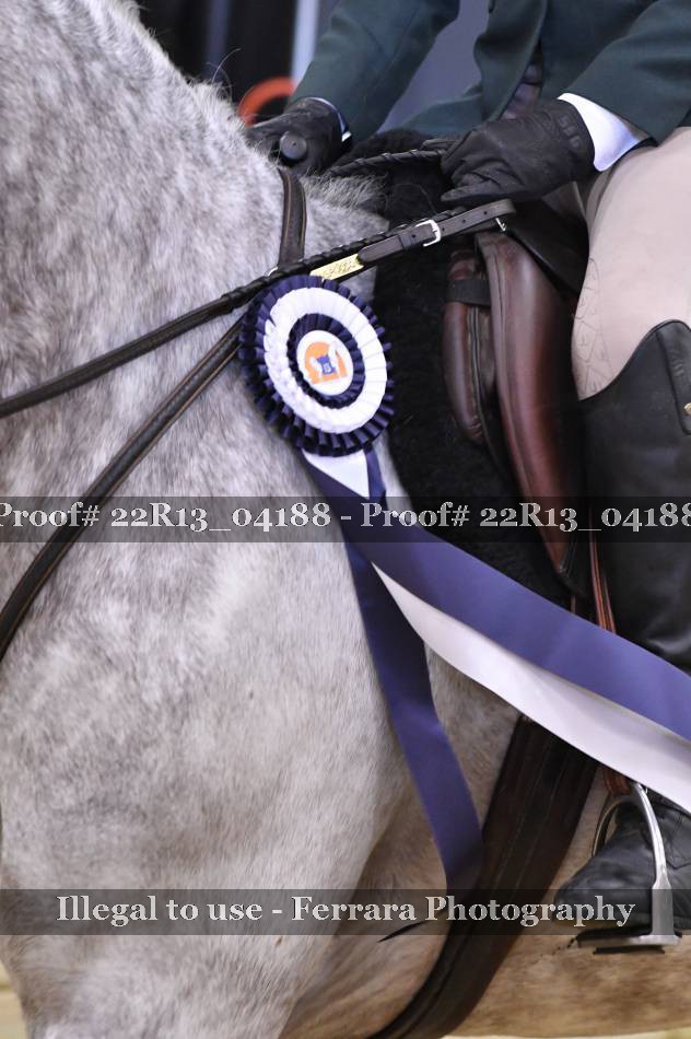 Proof 22R13_04188