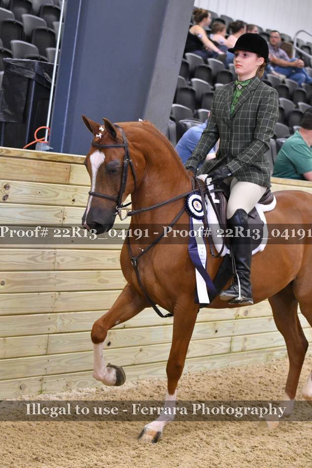 Proof 22R13_04191