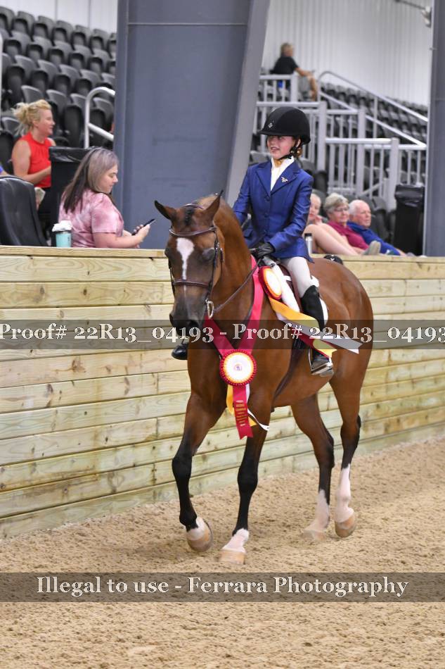 Proof 22R13_04193