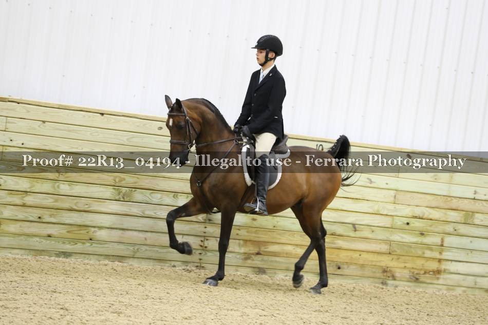 Proof 22R13_04194