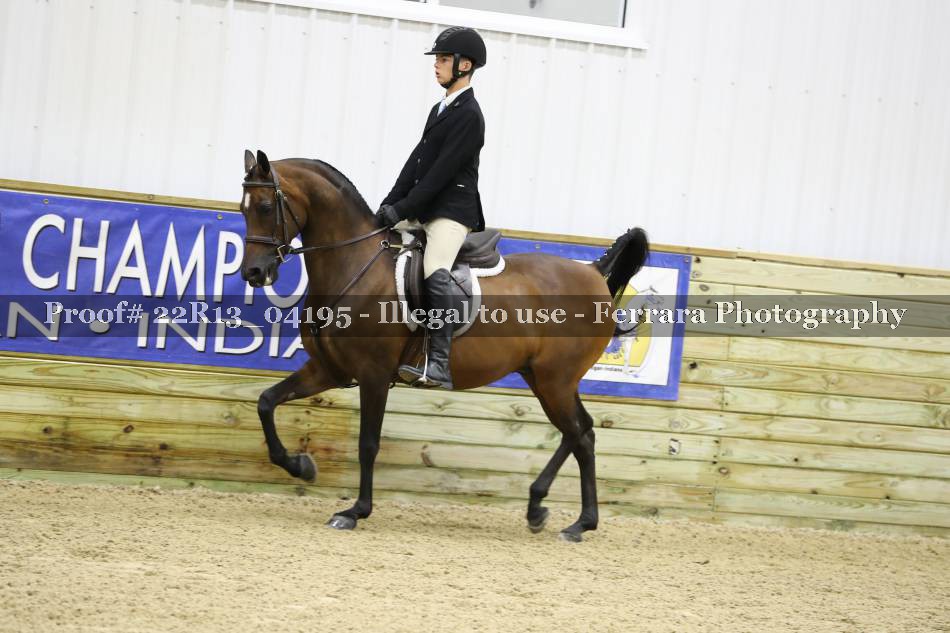 Proof 22R13_04195