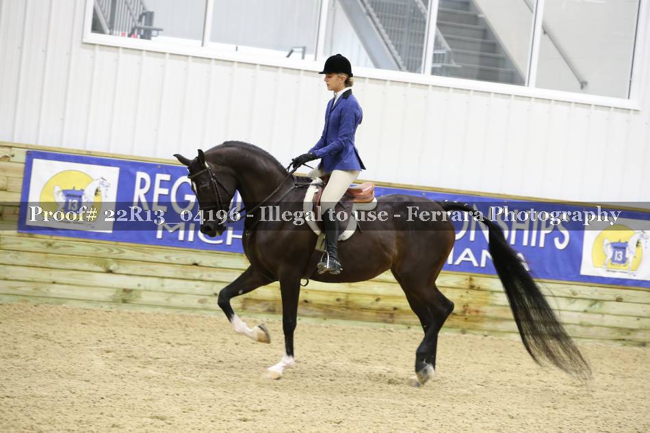 Proof 22R13_04196