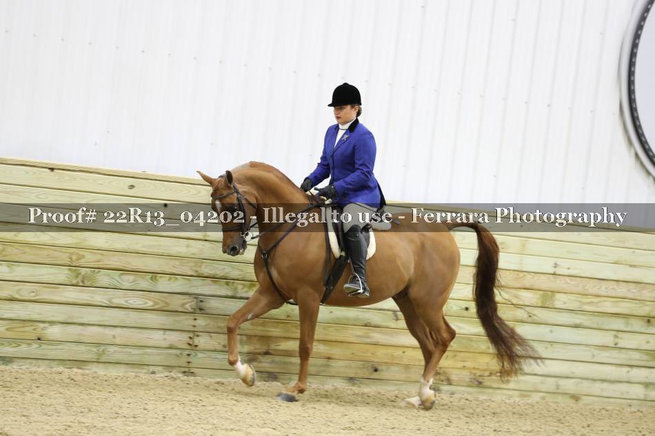 Proof 22R13_04202