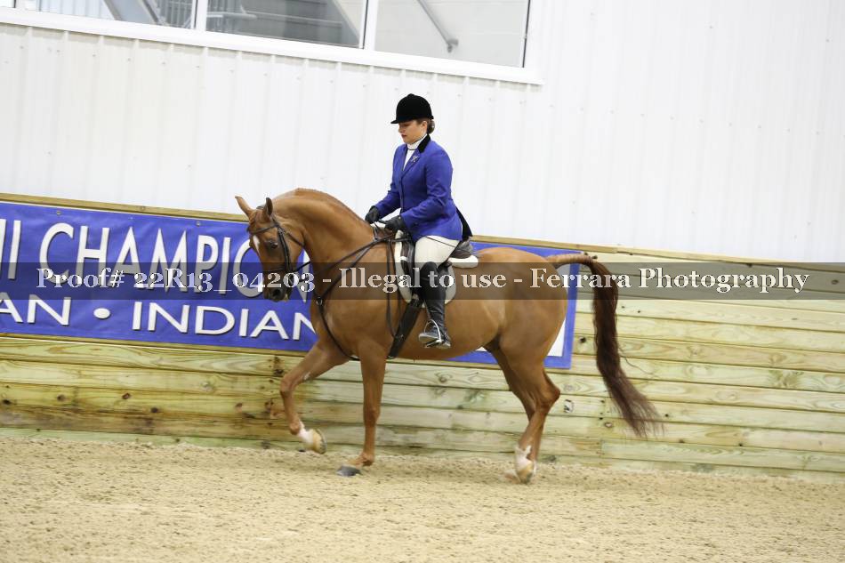 Proof 22R13_04203