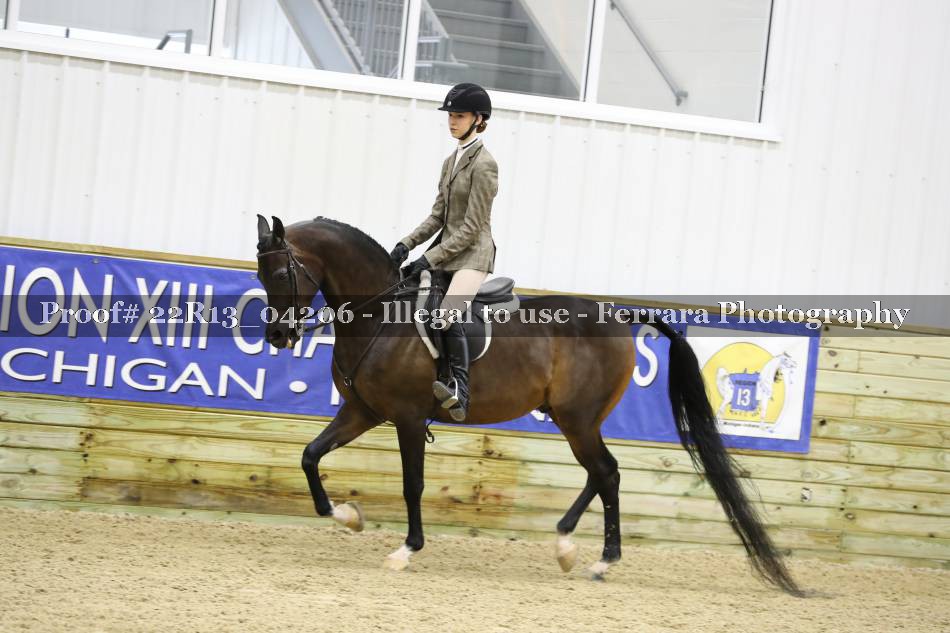 Proof 22R13_04206