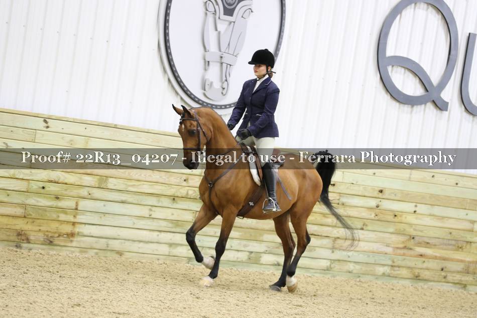 Proof 22R13_04207
