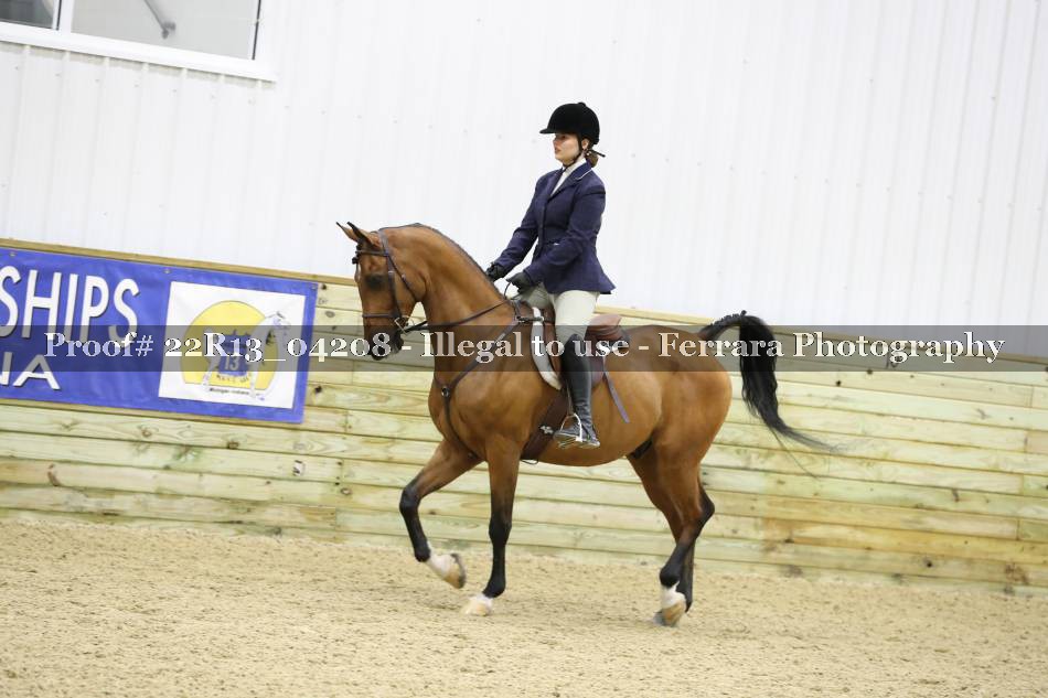 Proof 22R13_04208