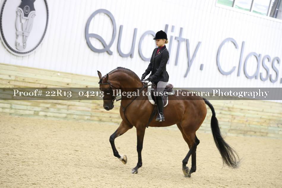 Proof 22R13_04213