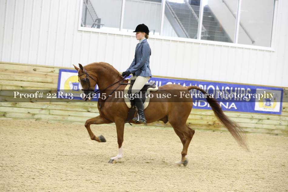 Proof 22R13_04215