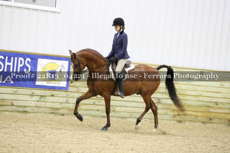 Proof 22R13_04221