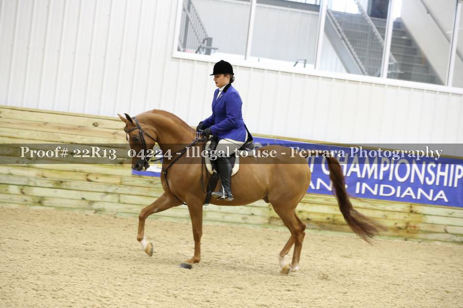 Proof 22R13_04224