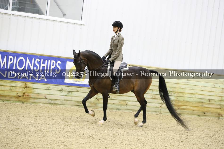 Proof 22R13_04225