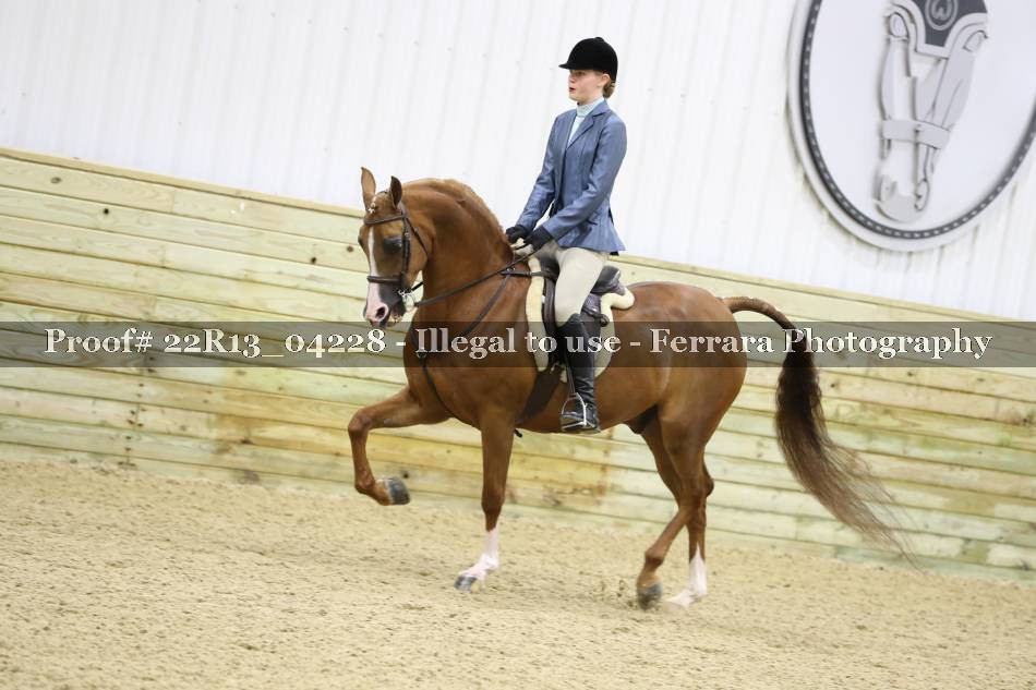 Proof 22R13_04228