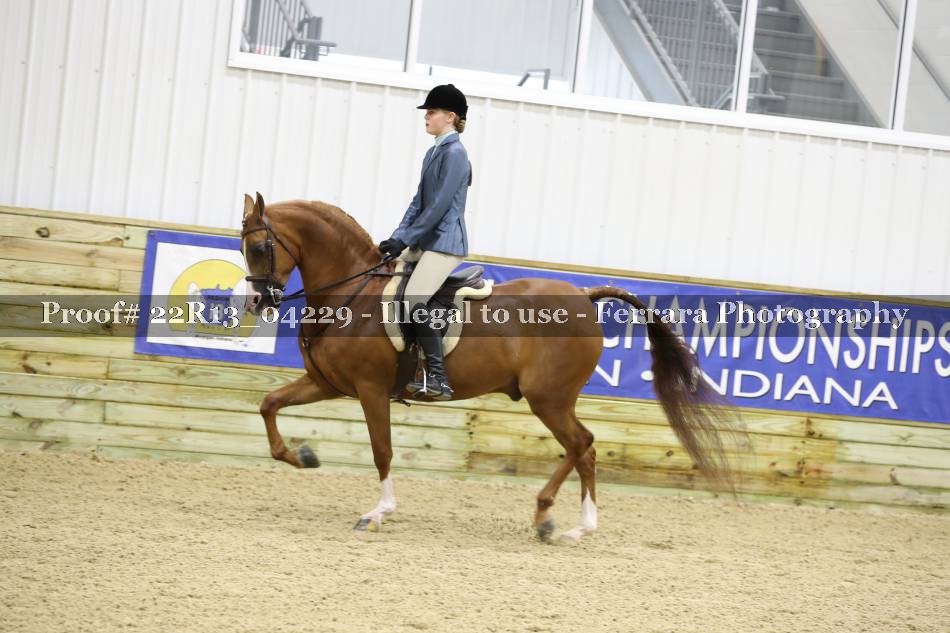 Proof 22R13_04229