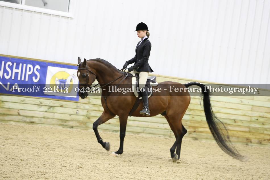 Proof 22R13_04233