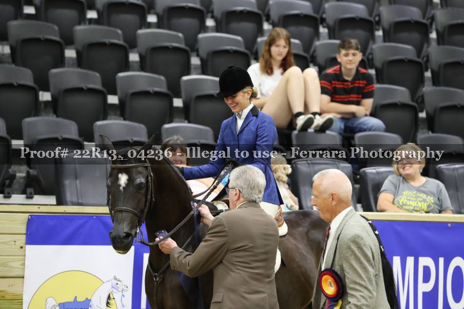 Proof 22R13_04236