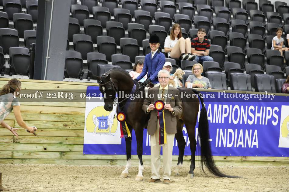 Proof 22R13_04241