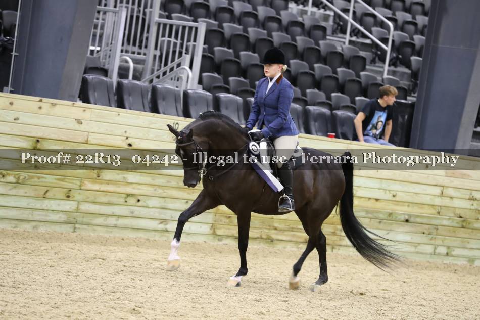 Proof 22R13_04242