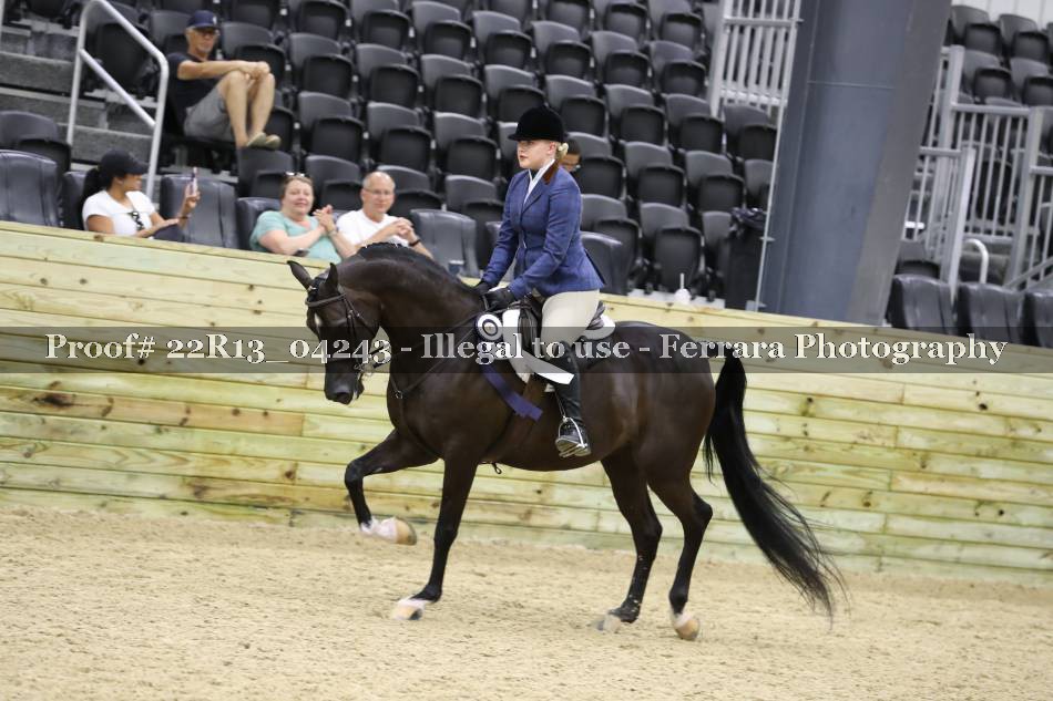 Proof 22R13_04243