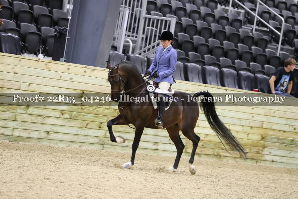 Proof 22R13_04246