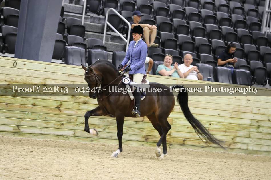 Proof 22R13_04247