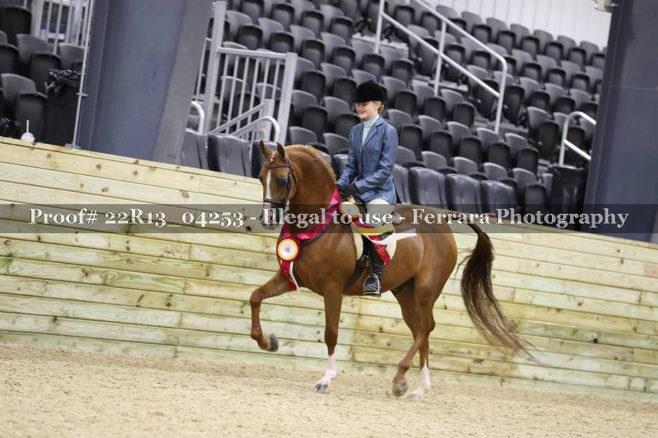 Proof 22R13_04253
