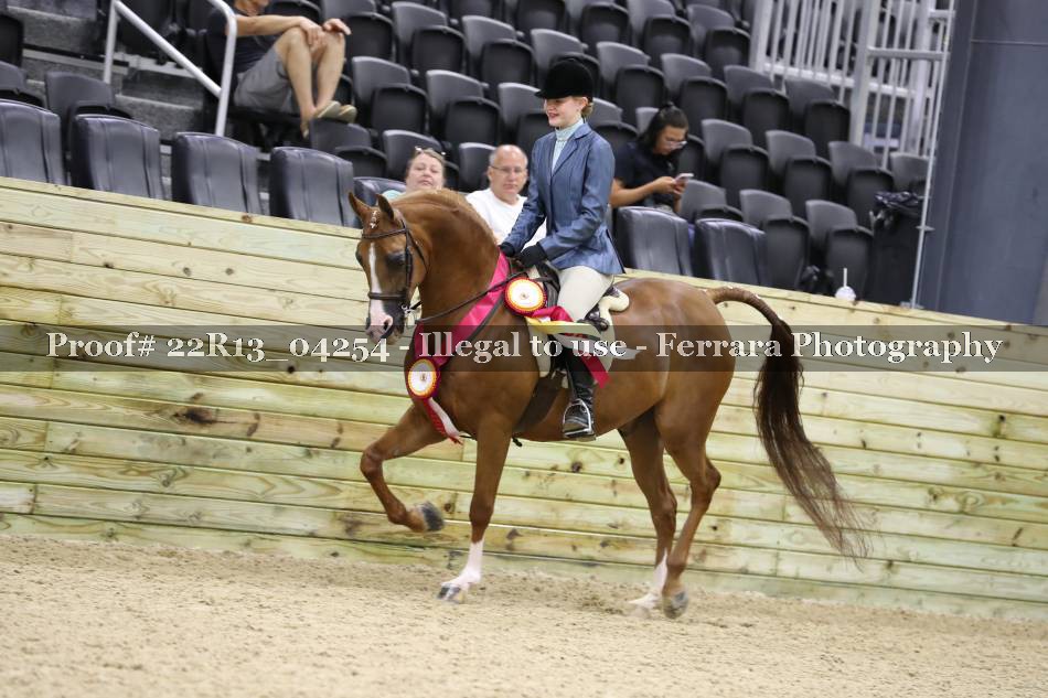 Proof 22R13_04254