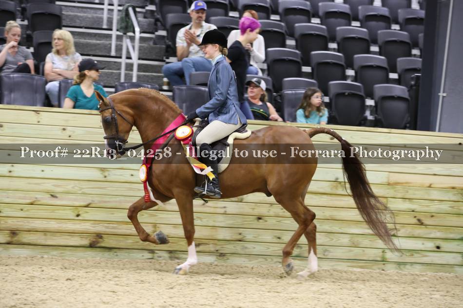 Proof 22R13_04258