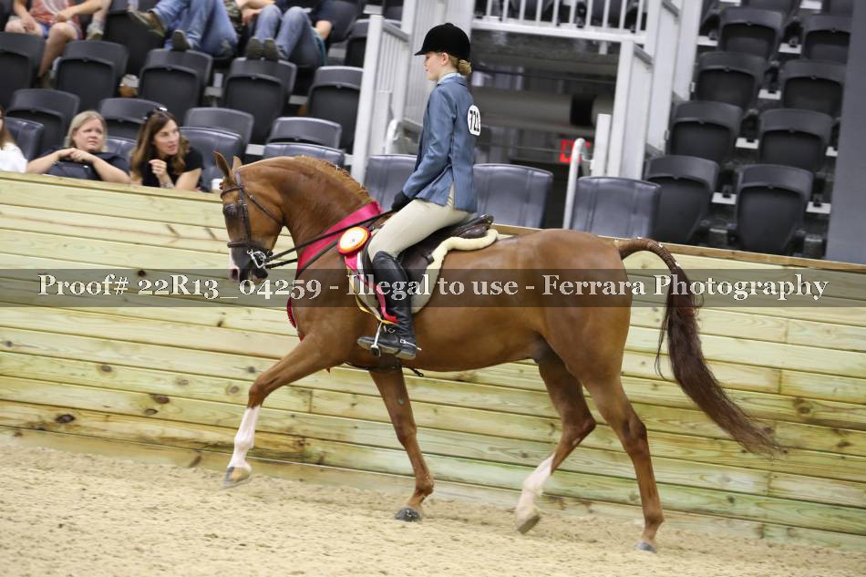 Proof 22R13_04259